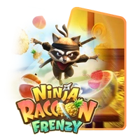 Ninja Raccoon Frenzy
